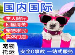 桂林机场货运国际宠物托运 【国